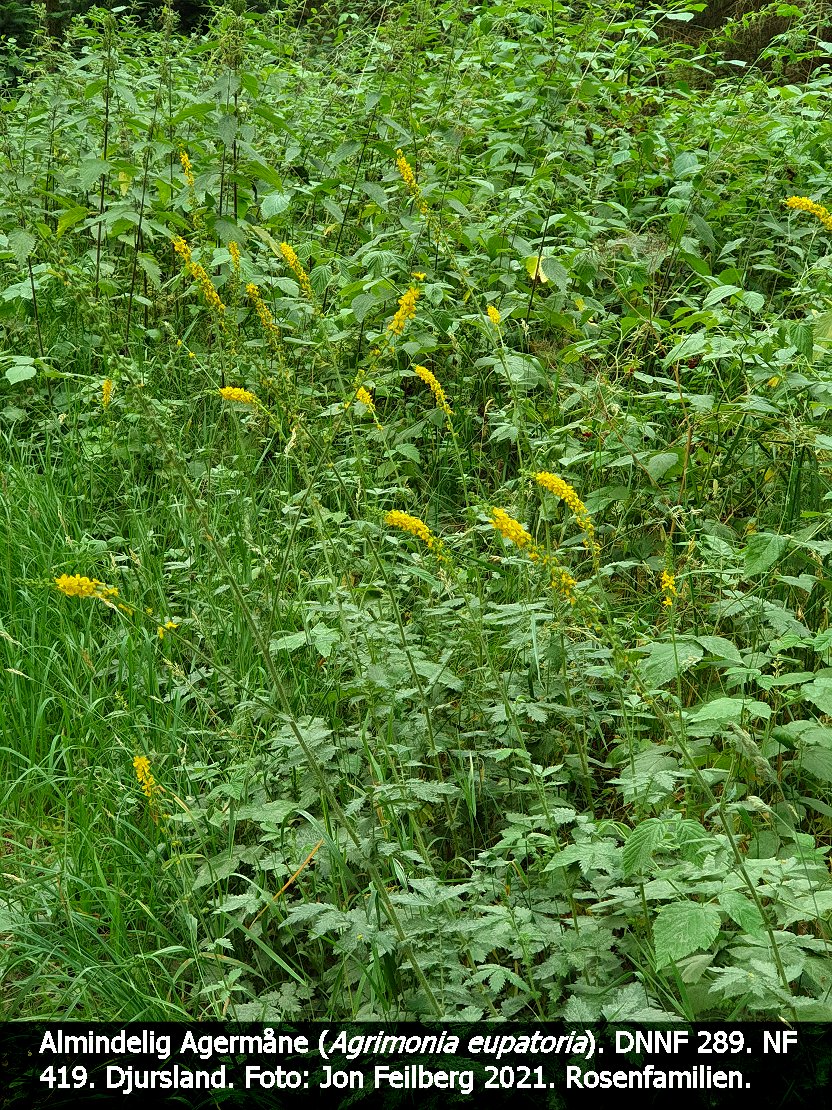 a AGRI EUPa tex3 2021-07-26 12.17.29