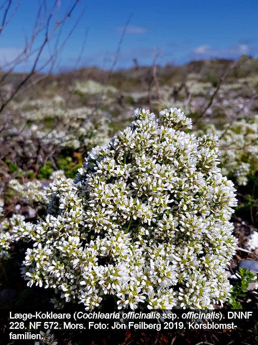 a COCH OFF OFFb tex3 20190503_112516