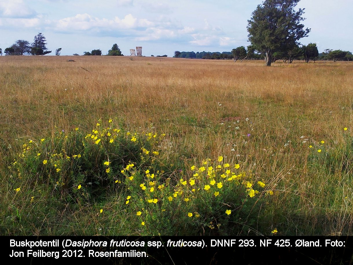 a DASI FRU FRUa tex3 2012-08-14 17.25.06