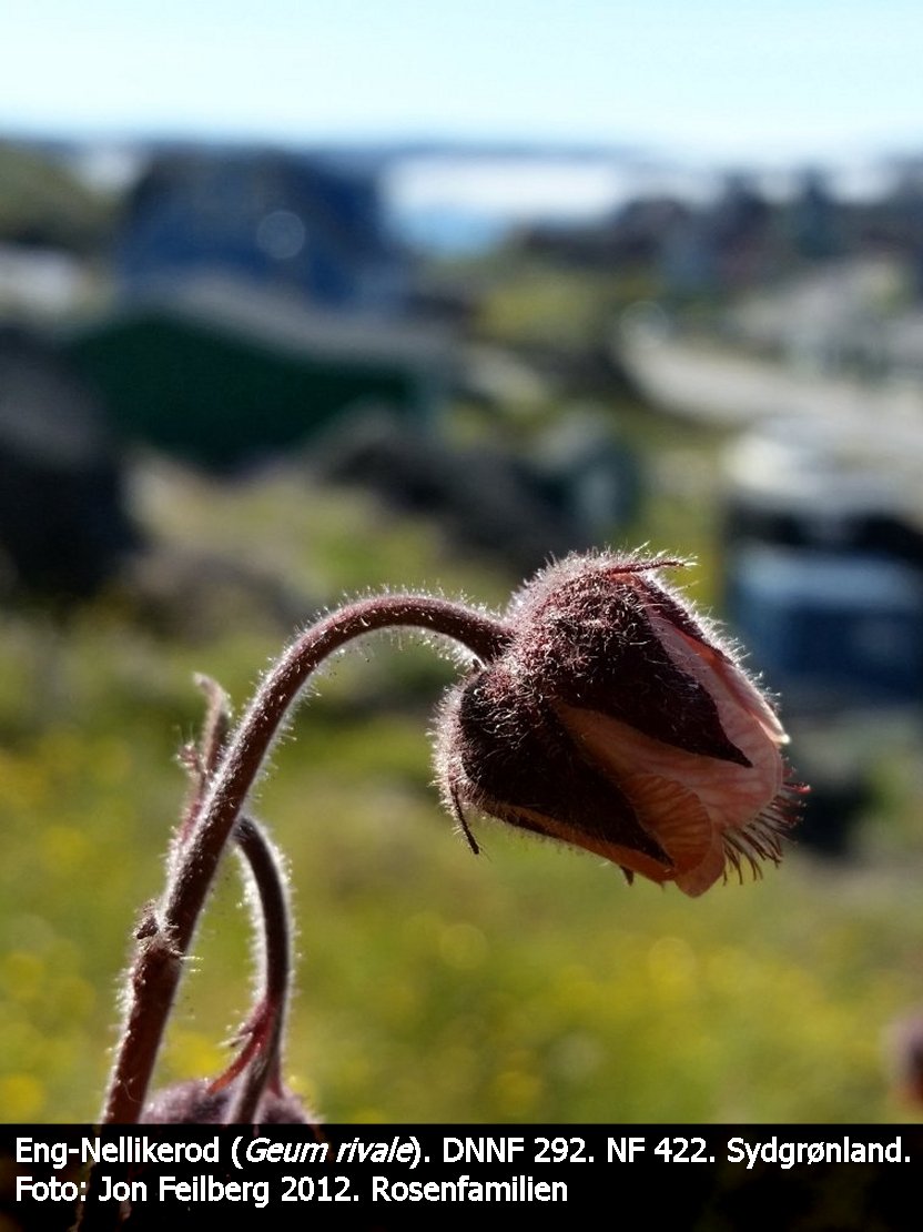 a GEUM RIVc tex3 20120710_190355