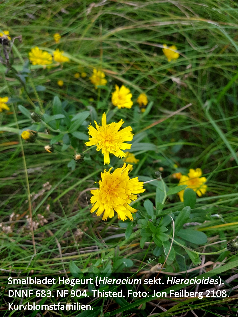 a HIER HIE UMBc tex 2018-09-26 15.47.53