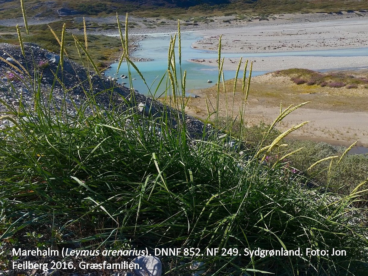 a LEYM ARE tex3 20160724_195960