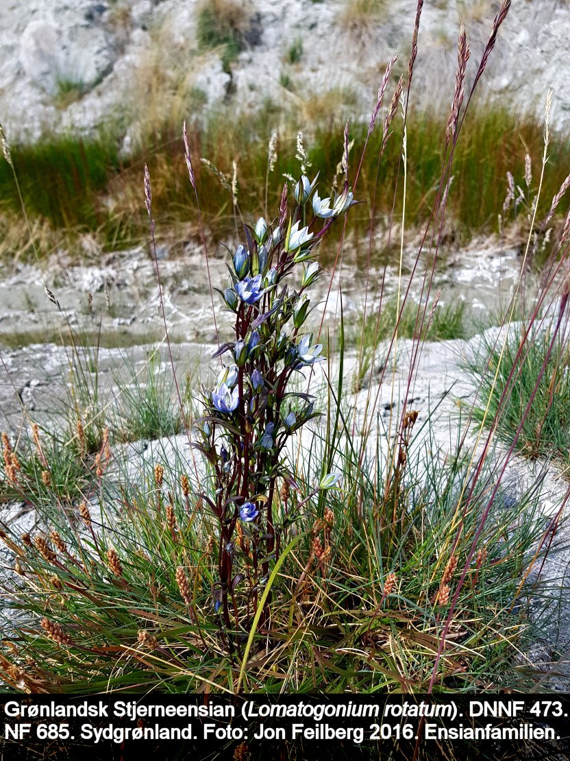 a LOMA ROTab tex3 2019-07-13 14.28.00