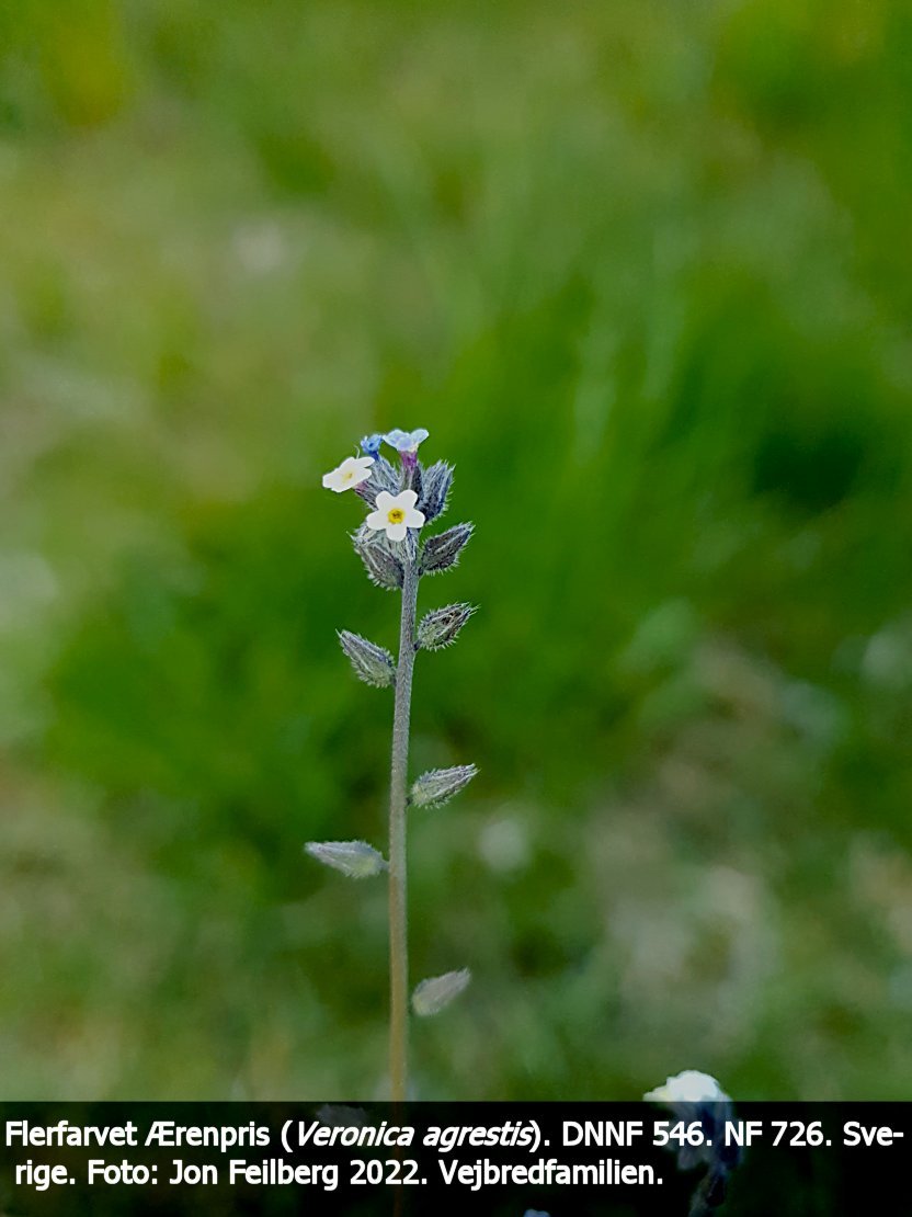 a MYOS AGRc tex3 20220530_153208