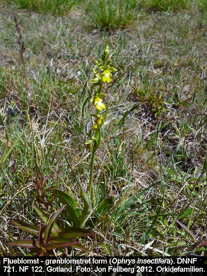 a OPHR INSf tex 2012-06-11 11.40.23
