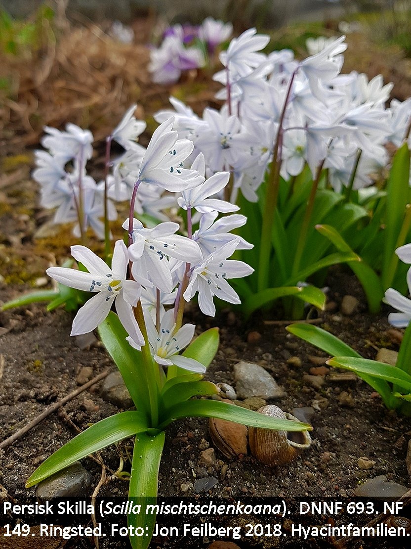 a OTHO MIT tex3 2018-04-09 15.56.44