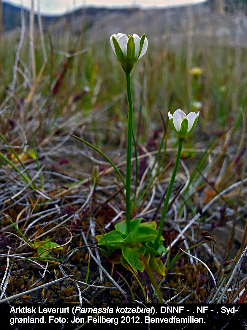 a PARN KOTbb tex3 20120804_165214