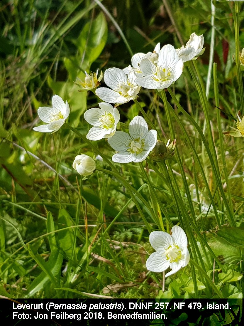 a PARN PALb tex3 2018-08-09 11.04.48