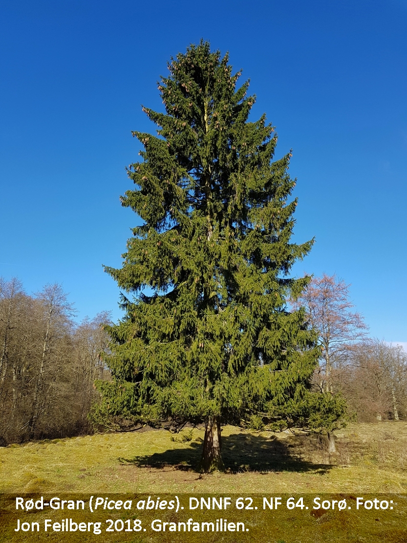 a PICE ABI tex 2018-04-06 10.41.16