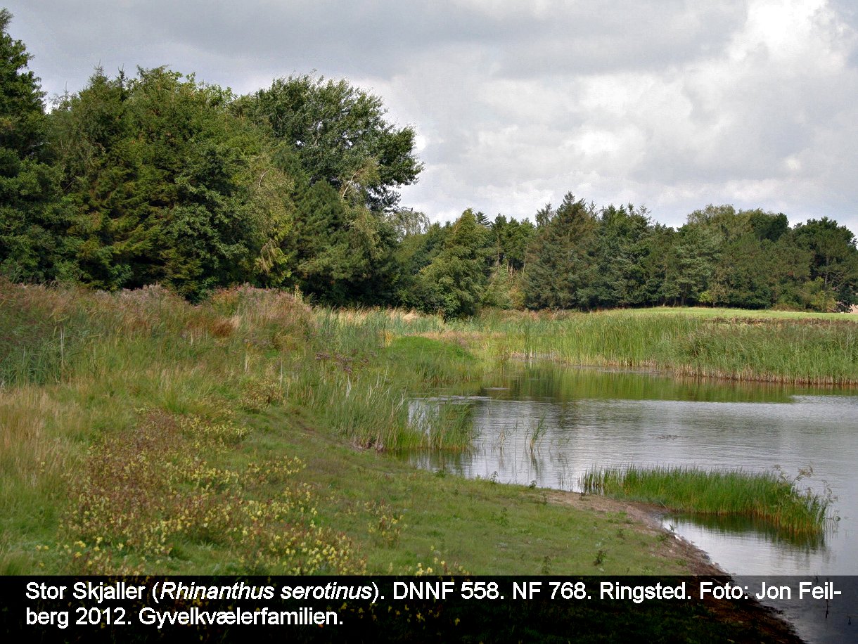 a RHIN SERa tex3 2012-10-06 17.28.39