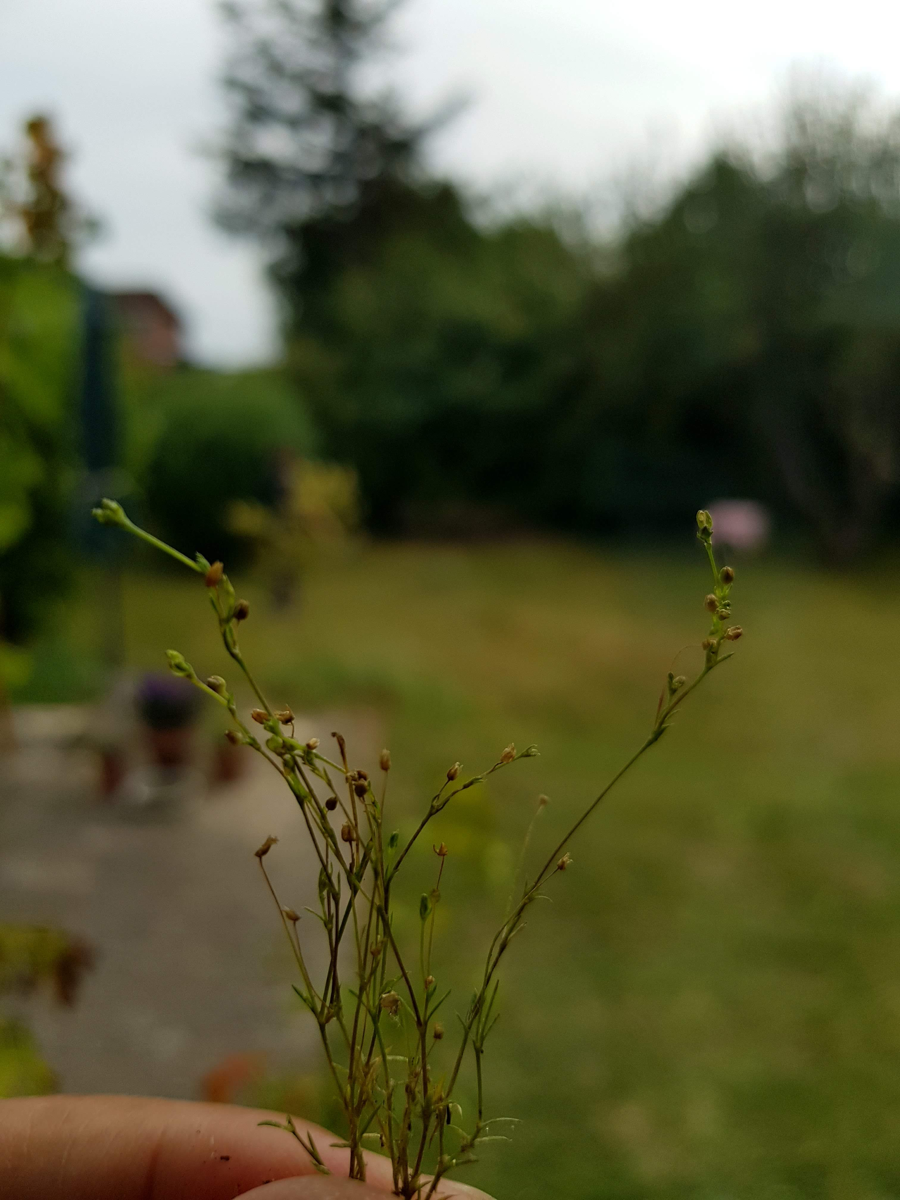 a SAGI MIC 20190811_154418