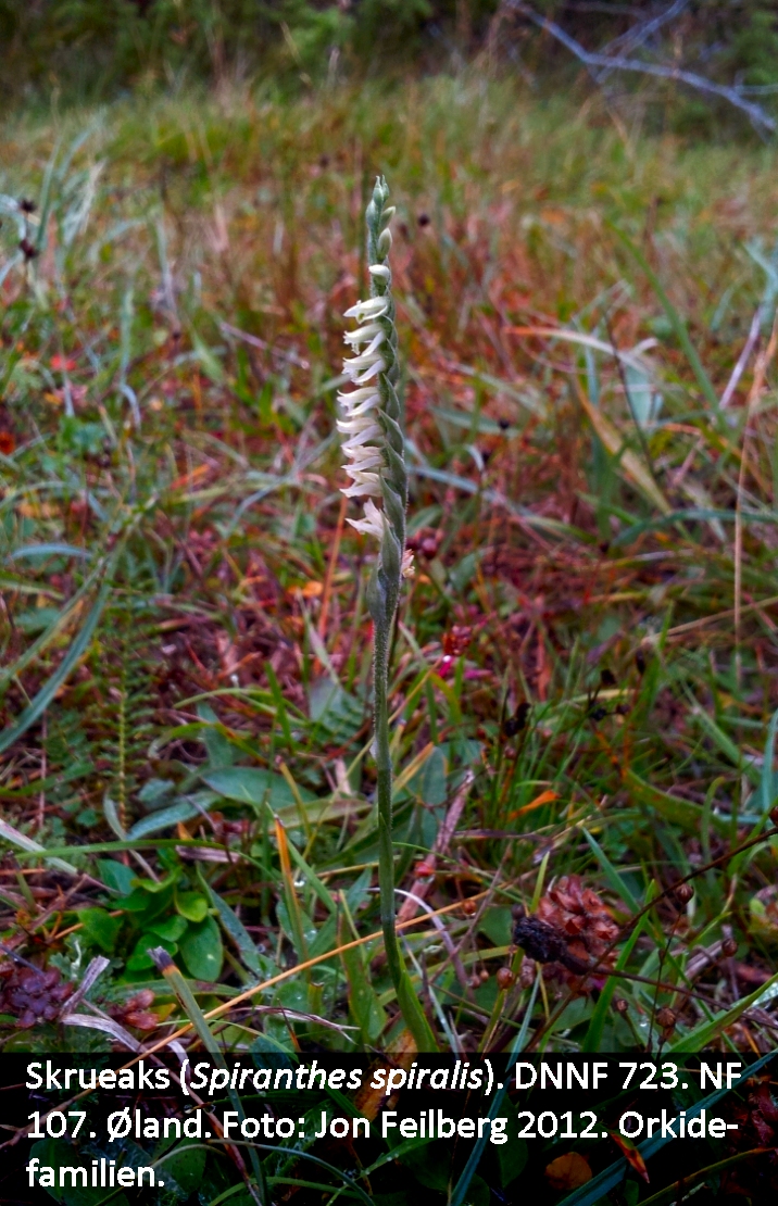 a SPIR SPI tex 20120901_101644