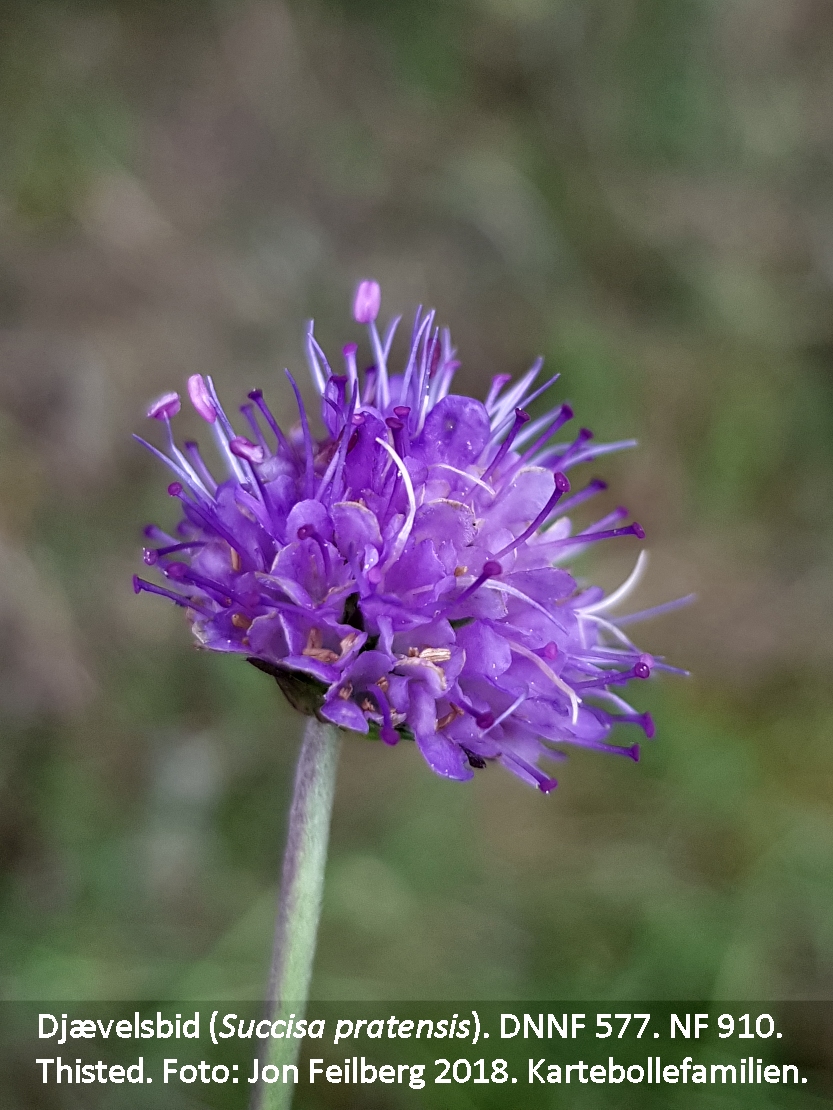 a SUCC PRAc tex 2018-09-26 15.05.14
