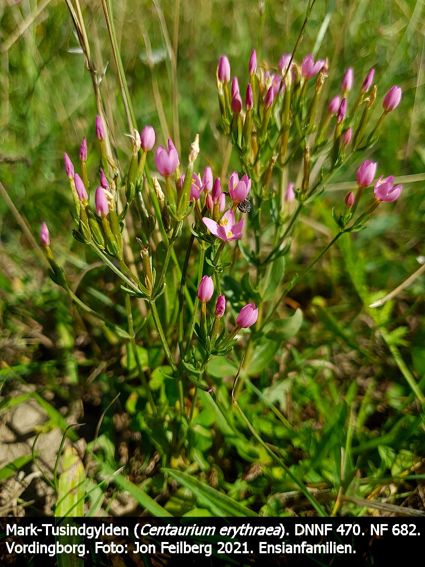 aCENTERYbtex32021-08-0415.58.19