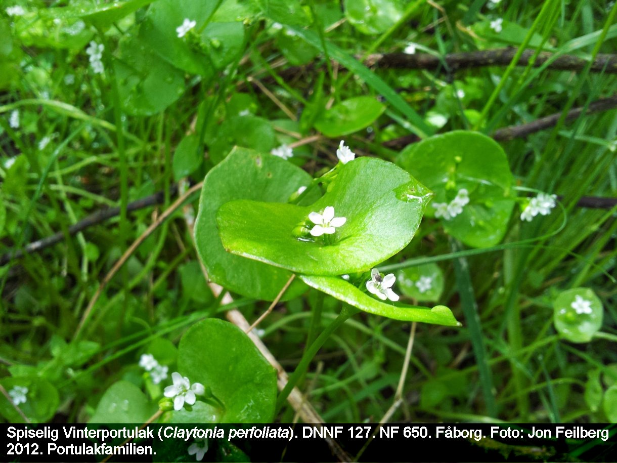 aCLAYPERtex2012-05-1112.22.04