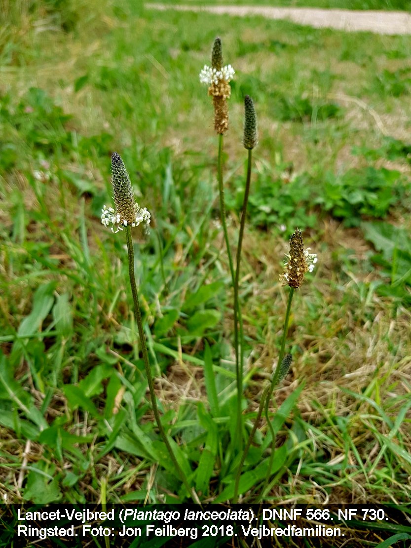 aPLANLANtex32018-06-1816.04.08